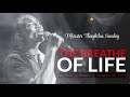 Breath Upon My Life Oh Lord | Min Theophilus Sunday | Tongues of Fire | Chants