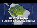 Como se Formou a Maior Floresta Tropical do Mundo? | Globalizando Conhecimento