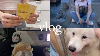 〈vlog〉実家帰省🌼Butterトレカ開封💿癒しの時間🐶🌳