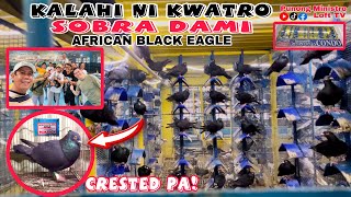 EP467 - SOBRA DAMING AFRICAN BLACK EAGLE DITO KILA NINONG!
