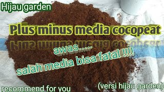 Plus minus media cocopeat.. ( hati2 salah media bisa fatal)