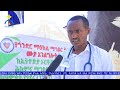 mk tv ዜና ተዋሕዶ የወይብላ ማርያም እና ቅዱስ ሚካኤል ታቦታት በሚመለሱበት ወቅት የጸጥታ አካላት በበዓሉ አክባሪዎች ላይ ጥቃት ከፍተዋል።