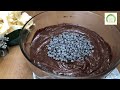 double chocolate muffins recipe