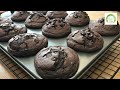 double chocolate muffins recipe