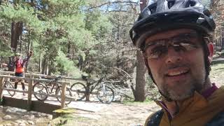 Ruta BTT por los Bosques de Covaleda , en Soria 🚵💨💨💨💪   #dream_on_wheels_team