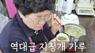 간기능 향상에 좋은 지칭개 가루내어 타먹어봤어요 채취부터 함께해요