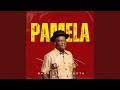 PAMELA