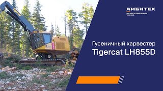 Гусеничный харвестер Tigercat LH855D