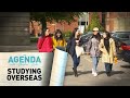 STUDYING OVERSEAS - The Agenda with Stephen Cole