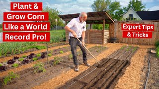 Corn Planting Secrets You Need to Know: Tips from a World Record Grower!