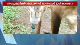 പിന്‍കാല്‍ മുറിച്ചു മാറ്റിയ മണിക്കുട്ടി ഇനി കൃത്രിമക്കാലില്‍ നടക്കും: Thalsamayam Reporter