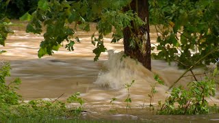 Know Your Flood Risk Know Your Flood Zone