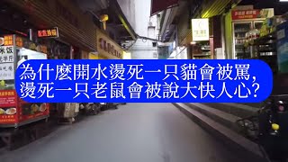 為什麽開水燙死一只貓會被罵，燙死一只老鼠會被說大快人心？