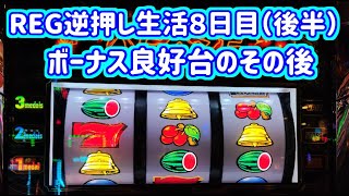 カピバラくん　ボーナス良好台のその後　バーサスリヴァイズ　REG逆押し生活8日目（後半）　＃277