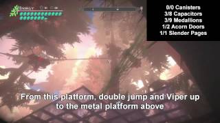 Valley 100% Achievement / Trophy Walkthrough: Chapter 7