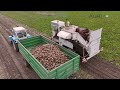 eastern delight classic ddr beet harvest belarus fortschritt u0026 more