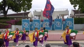 よさこい鳴子連今日一屋（よさこい夢まつり2015）前日祭②