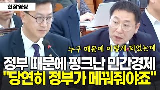 정부가 잘못해서 경제가 이렇게 되었으면...정부가 책임져야죠