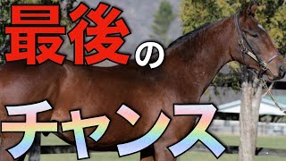 【決めてくれ】これが本当にラストチャンス！JRA未勝利戦で勝負のとき。