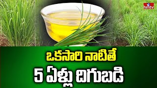 ఒకసారి నాటితే 5 ఏళ్లు దిగుబడి | Lemon Grass Cultivation | Lemon Grass Farming | hmtv Agri