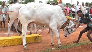 కొమ్మి గ్రామం రెండు పళ్ళు మూడో బహుమతి విజేత కుక్కల శివ జ్ఞానేశ్వర్ రెడ్డి మోక్షితారెడ్డి గారు 2464.6