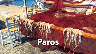 Ich war schon mehrmals dort - Paros, eine traumhafte Insel der Kykladen!