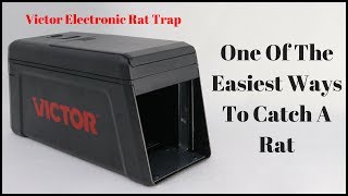 One Of The Easiest Ways To Catch A Rat - The Victor Electronic Rat Trap