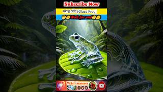 Glass Frog #Short #Viralshort #Trending #Shorts #Vichitrjaanavar