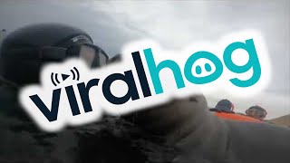 Snorkeling with Sea Lions in Argentina || ViralHog