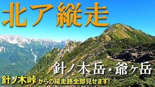 【登山体験】北アルプス縦走、針ノ木岳から爺ヶ岳へ／針ノ木峠からの縦走路全部見せます！／2021/08