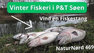 Fiske battle i den lokale P\u0026T sø.