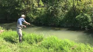 Fly Fishing - Mossy Creek  -September 2019