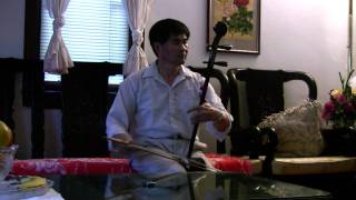 Rain Drops on Banana's Erhu Cover by Patrick Yu雨打芭蕉