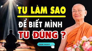 Tu làm sao để BIẾT MÌNH TU ĐÚNG - Hòa Thượng Viên Minh