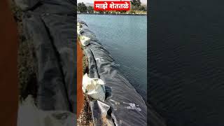 काठोकाठ भरले शेततळे ||  Shettale || Farm Pond