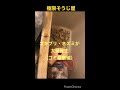 ゴキブリ・ネズミが大量発生（ゴミ屋敷編）