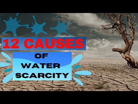 What are the three main causes of water scarcity around the world?