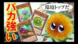 勝率100%!?!?環境トップレベルのナチュルデッキが強すぎてやばい【遊戯王デュエルリンクス】【実況】