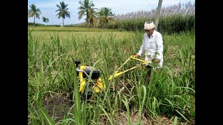 Kisan kraft 400E power weeder in sugarcane field ||  ಕಬ್ಬಿನ ಗದ್ದೆಯಲ್ಲಿ ಕಳೆ ತೆಗೆಯುವ ಯಂತ್ರ ||