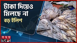 হাতের নাগালেই সামুদ্রিক মাছ | Fish Market | Ilish Price | Patuakhali | Somoy TV