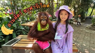 บริ้งค์ไบรท์ | สวนสัตว์ซาฟารีเวิลด์ มีลิง 🐵