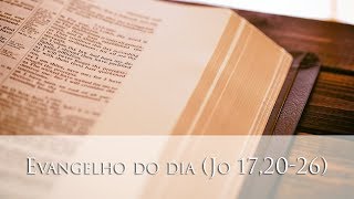 Evangelho do dia (Jo 17,20-26)