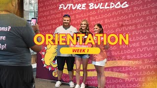 Inside Ferris State Orientation: Incoming Student Voices & Insights