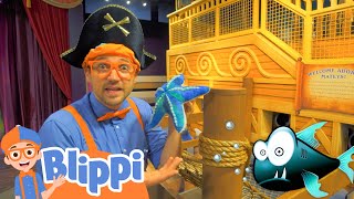 Blippi Visits Discovery Children's Museum!  | Animals for Kids | Animal Cartoons