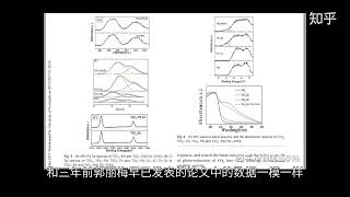 #王志安 #王局志安  成都市天府新区副局长兰子鉴犯罪纪实