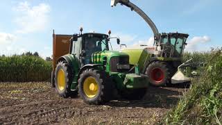 full version Cornharvest 2021 Van Rulo Claas jaguar 950 + 600 sd orbis + John Deere's + kaweco