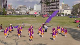 「鳴子蓮 梵天」どまつり夜桜in岡崎2018【多目的広場】