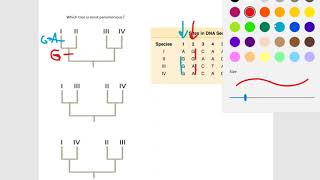 Find the most parsimonious tree