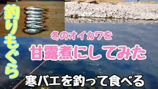 【寒バエ釣り】冬のオイカワ釣って甘露煮で食べてみた