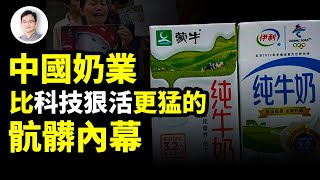 你以為中國奶業霸主背後，只有「科技與狠活兒」嗎？想簡單了！真相更為驚悚與骯髒！【文昭思緒飛揚333期】